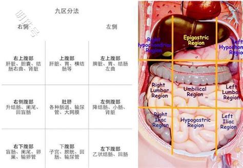 腹部長痣|莫名疼痛、長期腹瀉、突然長痣，是罹患癌症嗎？12